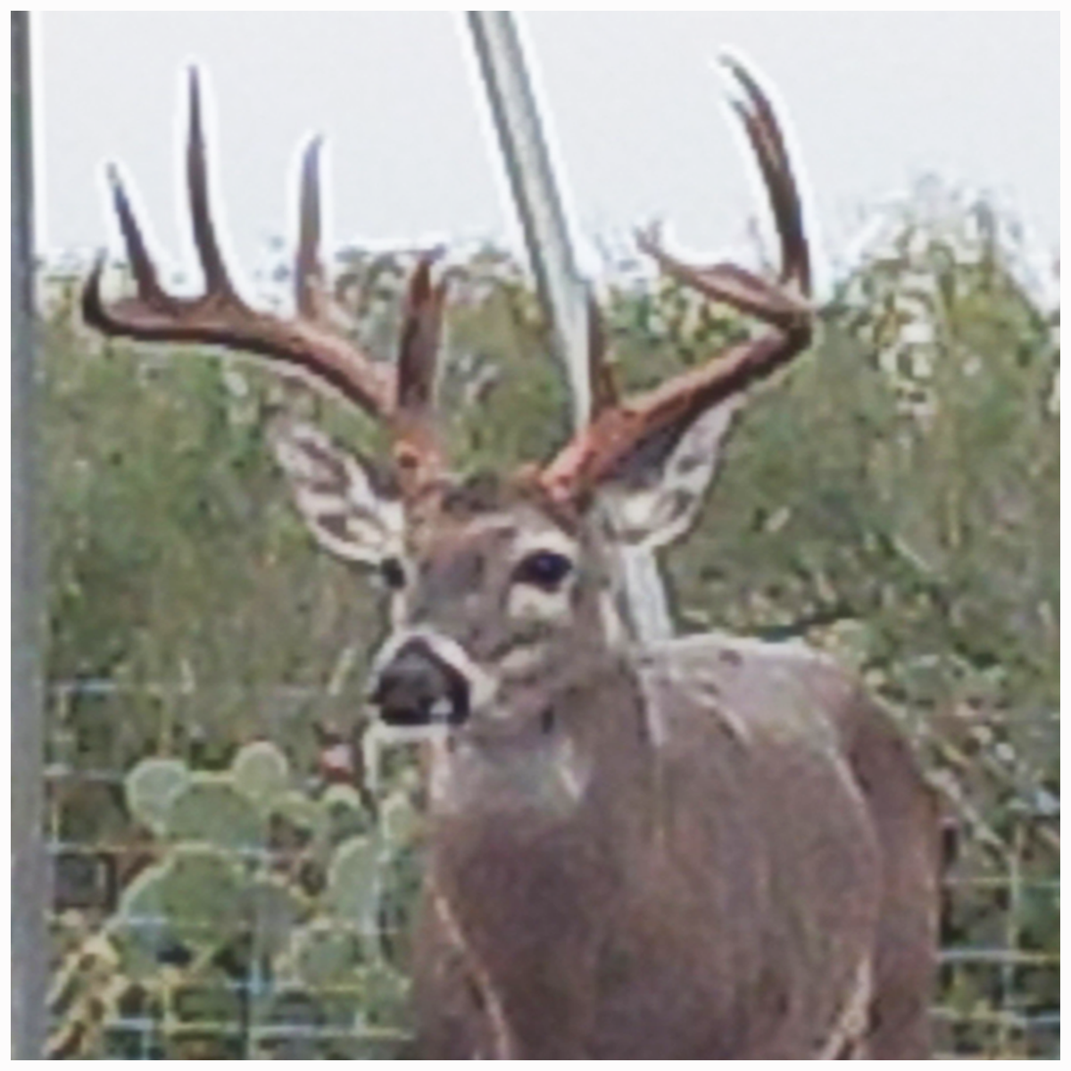 2021 Management photos